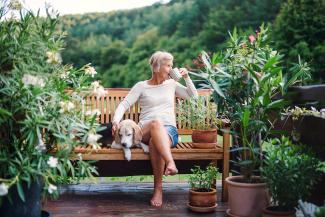 Retirement and Investment Management | Omnivest Financial
