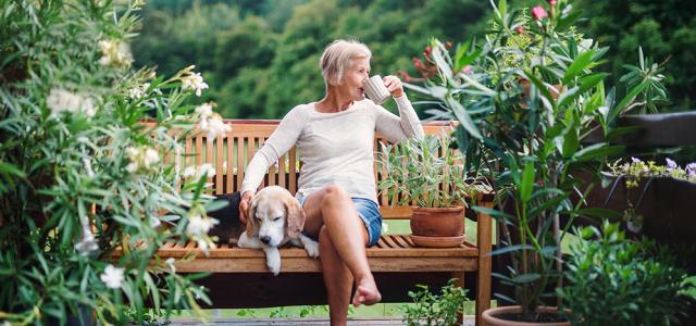 Retirement and Investment Management | Omnivest Financial